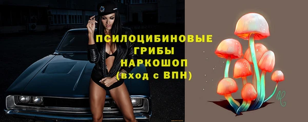 мдпв Гусиноозёрск