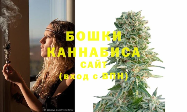 марки nbome Гусь-Хрустальный