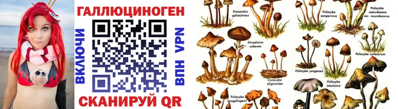 Псилоцибиновые грибы прущие грибы  Купить закладки  Мурманск 